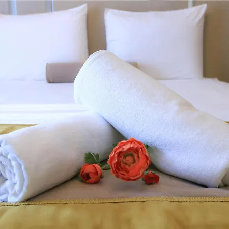 Hotel Burcman Visne 3*